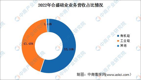 2023年中国有机硅行业市场前景及投资研究报告（简版）(图2)
