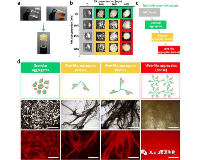 聚源生物RHC联合TA作为水凝胶用于外科密封剂的应用获国际期刊发表(图5)