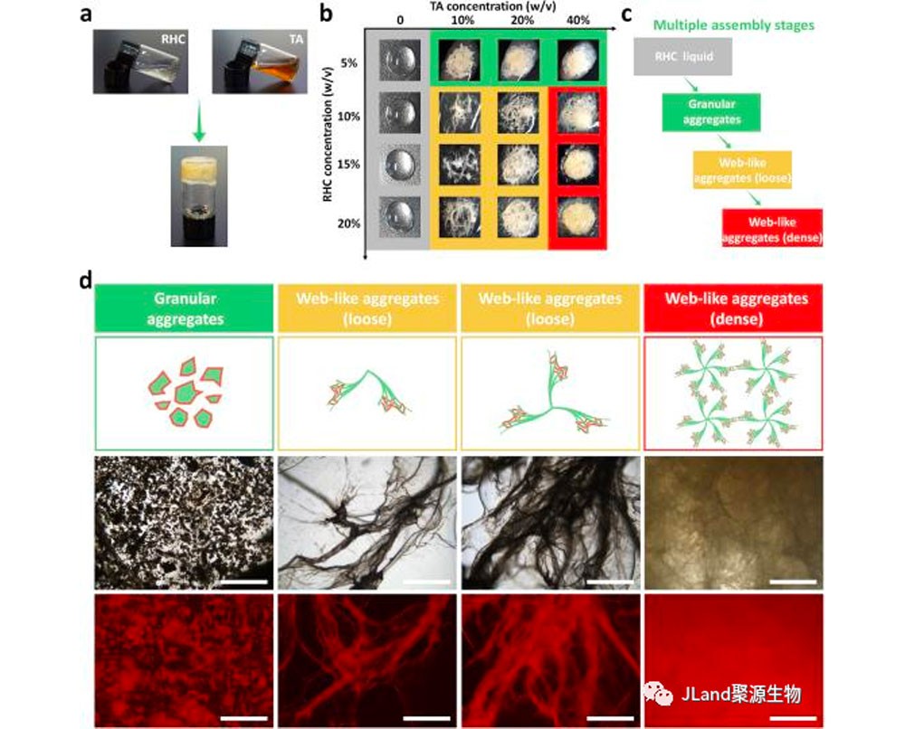 学术高光 聚源生物RHC联合TA作为水凝胶用于外科密封剂的应用获国际期刊发表(图5)