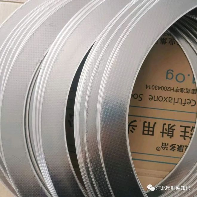 带孔石墨复合垫RSB密封垫片河间市于乾密封材料厂(图1)
