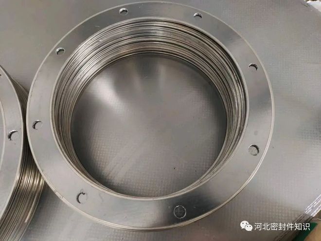 带孔石墨复合垫RSB密封垫片河间市于乾密封材料厂(图2)