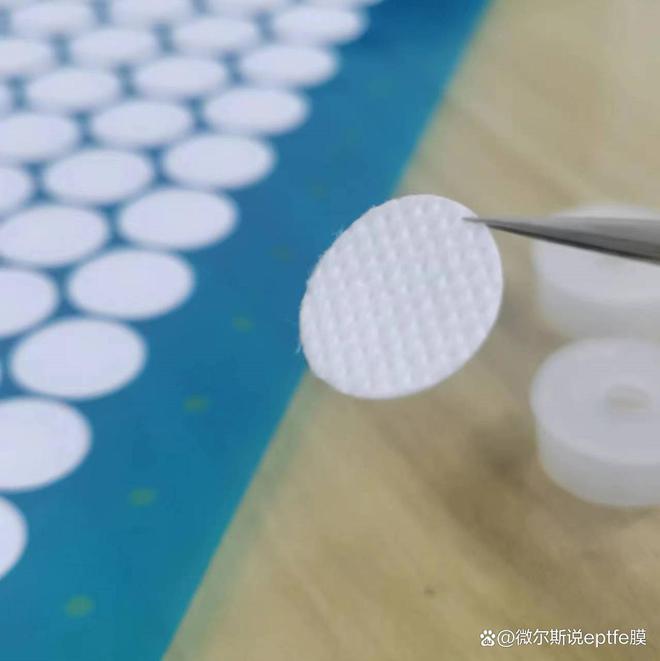 为什么组织培养瓶需要带透气？微尔斯组培膜透气隔菌！(图1)