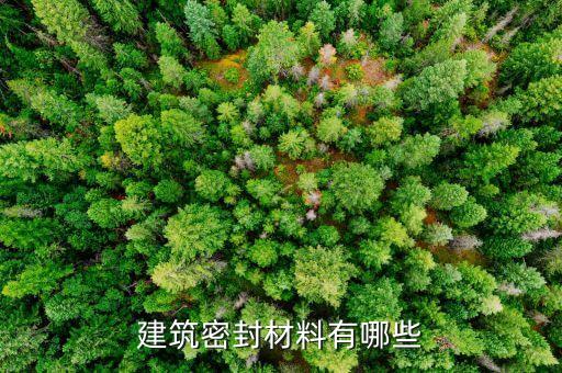 密封材料密封材料有哪些各有什么优缺点(图1)
