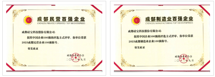 硅宝连续8年上榜双“百强”(图3)