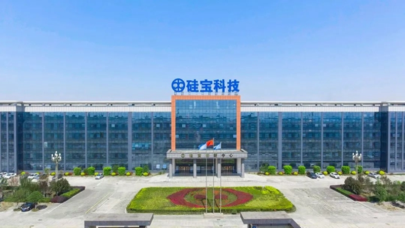 硅宝连续8年上榜双“百强”(图4)