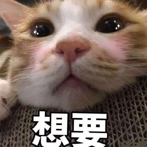 “索命杯”让热水变“毒水”？有些人居然还在用(图3)