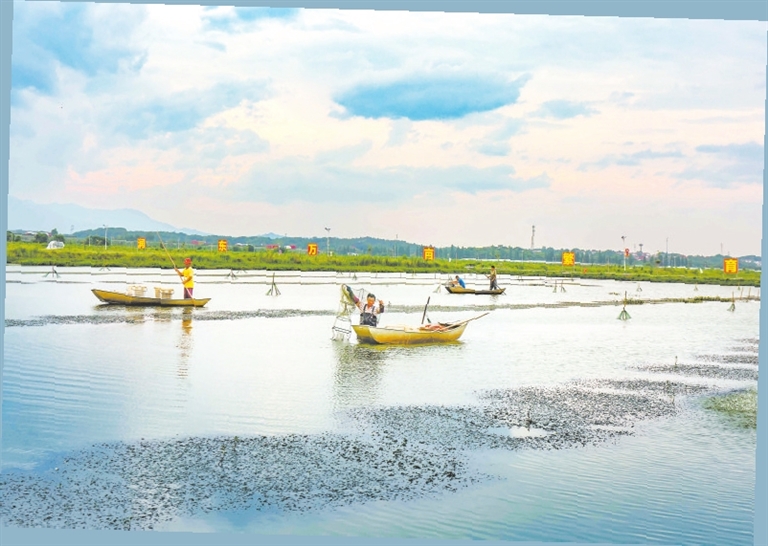 全市县域经济高质量发展现场推进活动｜永修：东风浩荡满硕果(图1)