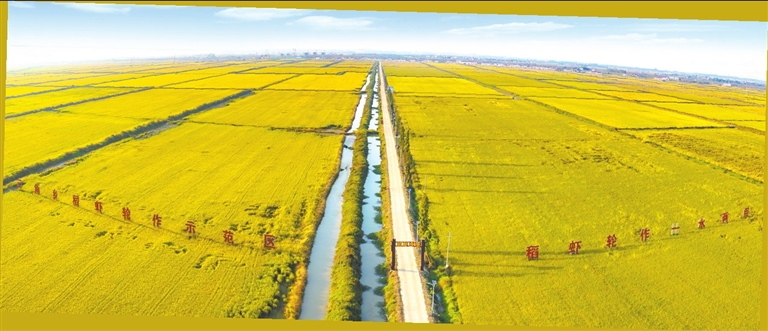 全市县域经济高质量发展现场推进活动｜永修：东风浩荡满硕果(图3)