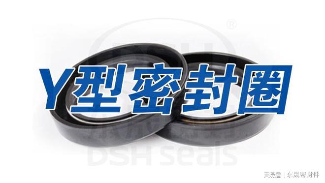 Y型密封圈的功能和结构特点是什么？(图2)