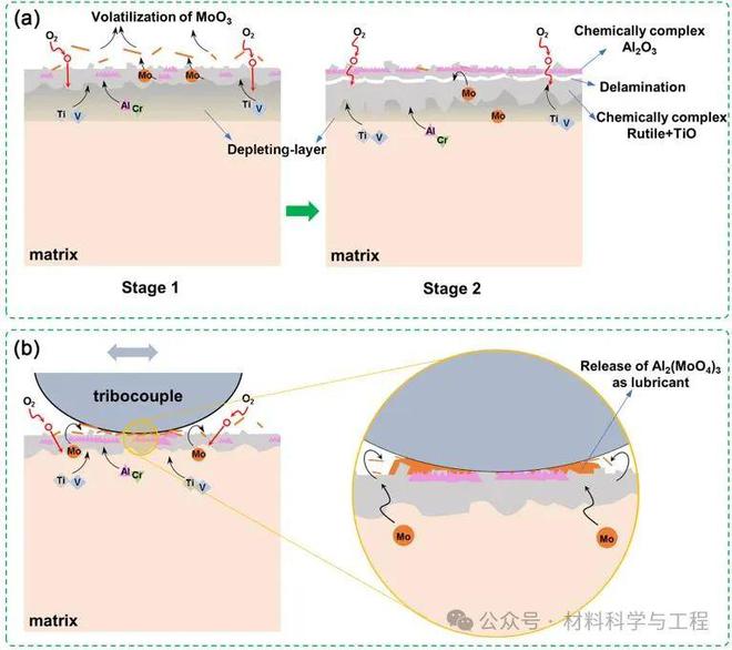 西工大《JMST》：Ti-V-Cr-Mo高熵MAX在800℃下的氧化机制与自润滑效应来源(图5)