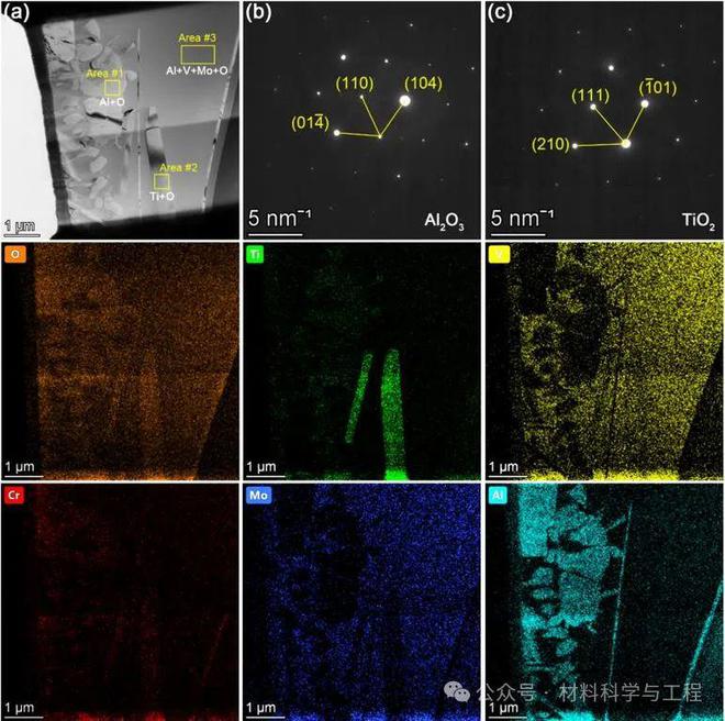 西工大《JMST》：Ti-V-Cr-Mo高熵MAX在800℃下的氧化机制与自润滑效应来源(图4)