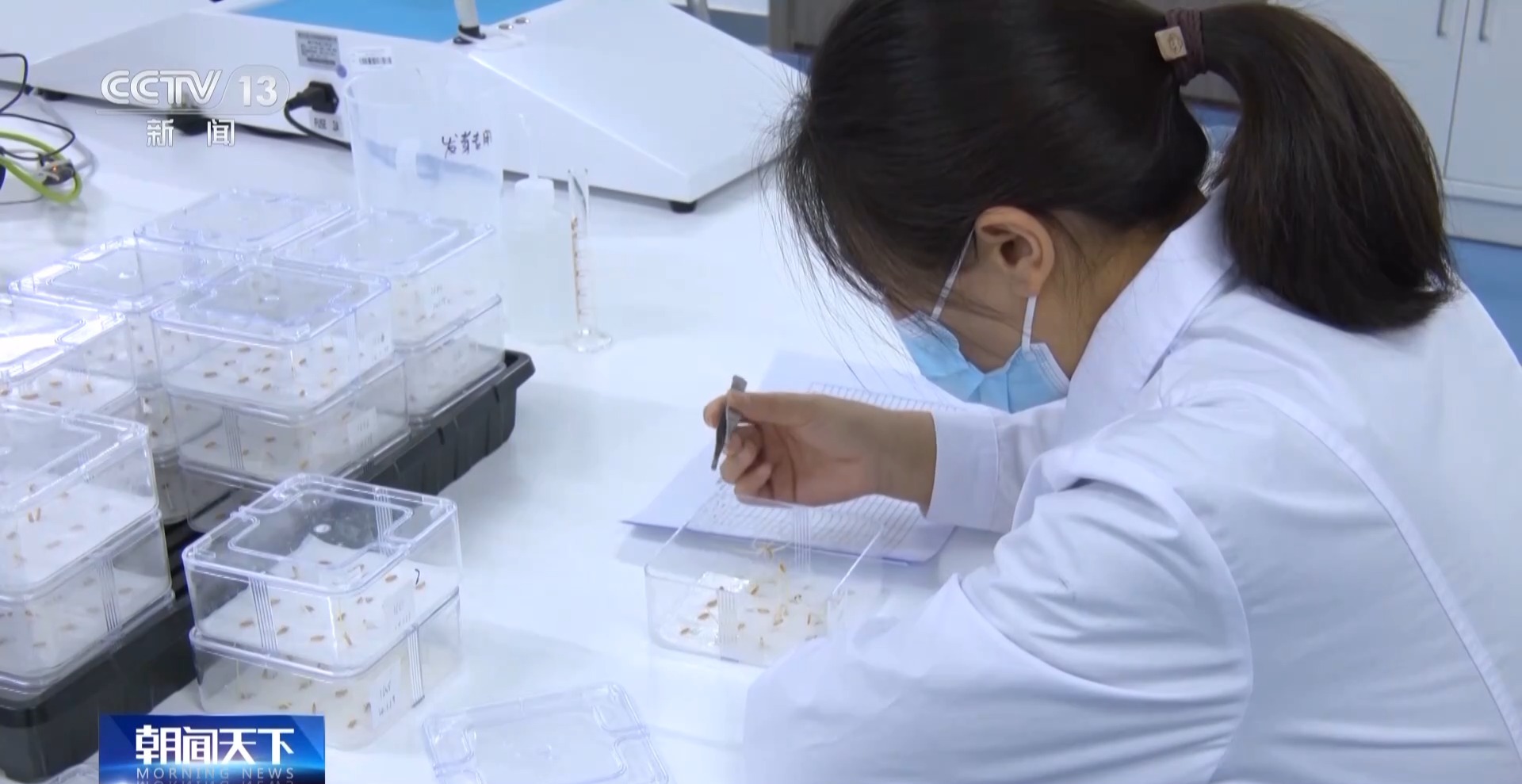 一粒种子如何获得“身份证”？如何成为“国家队”的一员？记者探访“种子银行”(图8)