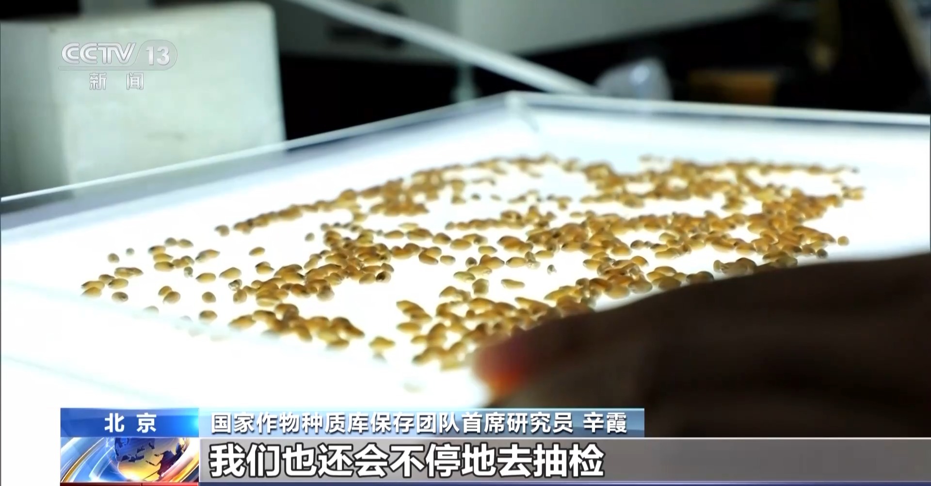 一粒种子如何获得“身份证”？如何成为“国家队”的一员？记者探访“种子银行”(图10)