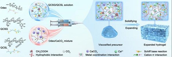 《AM》西安交通大学：具有促凝血活性和快速凝胶作用的水凝胶生物活性粘合剂(图2)