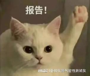 密封试验仪为什么会有泄漏量-岳信仪器(图1)
