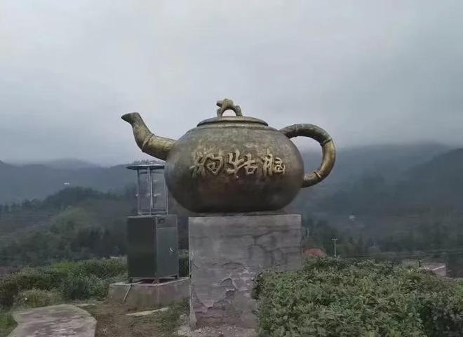 狗牯脑茶是什么茶？(图5)