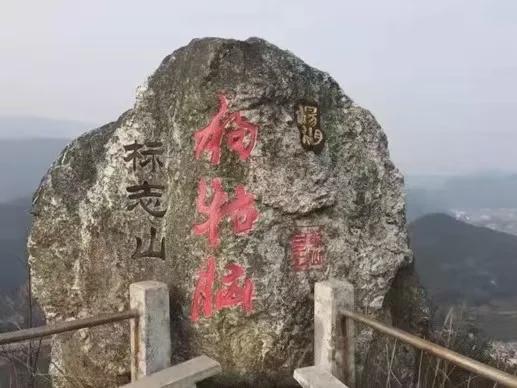 狗牯脑茶是什么茶？(图2)