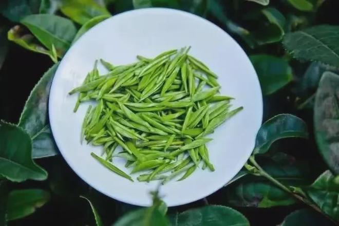 狗牯脑茶是什么茶？(图8)