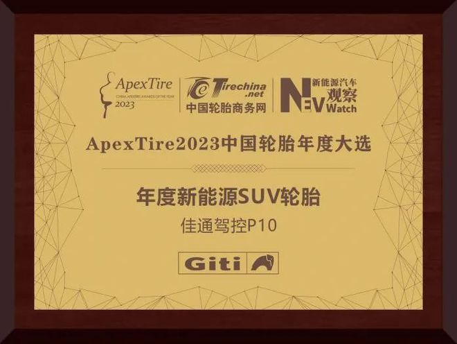中外品牌正面对决20款新能源汽车轮胎盘点(图6)