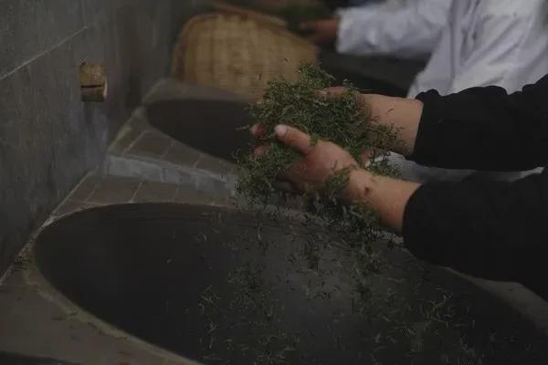 云端的都匀毛尖茶甘蔗般香甜回甘绵绵口粮价喝大师茶(图28)