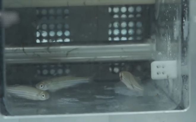 神舟十八号太空出差神舟十七号返航为啥天舟飞船没伴随发射？(图8)