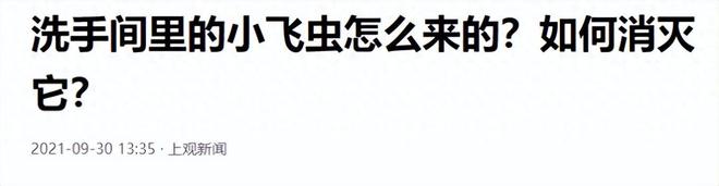卫生间的小飞虫到底是啥？别看外表不起眼但它的危害超出你想象(图1)