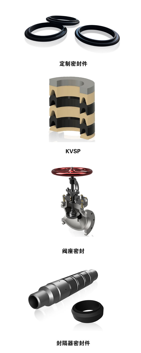 重磅！8月11日杜邦将携Kalrez®密封在油气开采中的解决方案 亮相cippe企业直播间(图3)