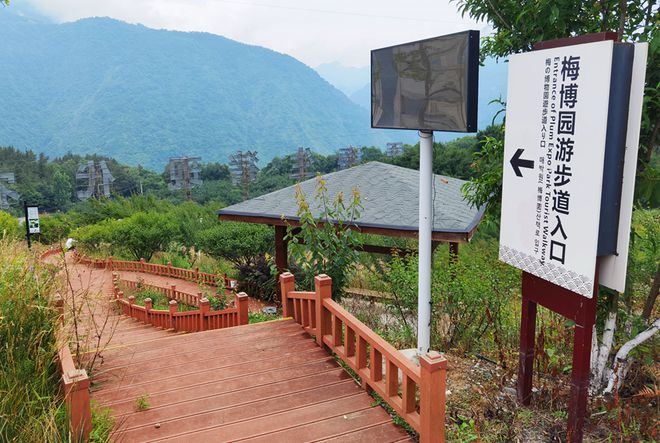 夏游绵阳·清凉暑日 ‖ “夏”一站去平武！遇见“梅”好时光品味夏日酸酸甜甜的味道(图1)