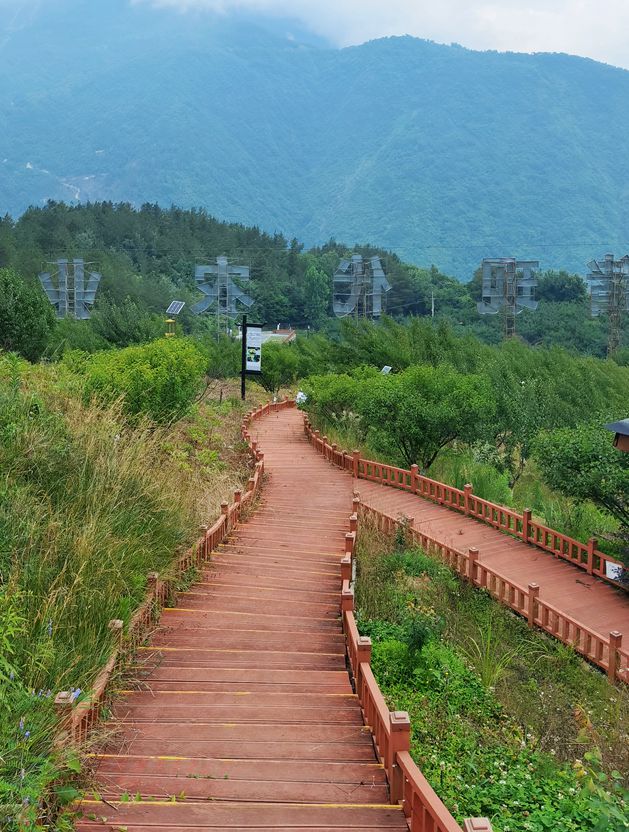 夏游绵阳·清凉暑日 ‖ “夏”一站去平武！遇见“梅”好时光品味夏日酸酸甜甜的味道(图2)