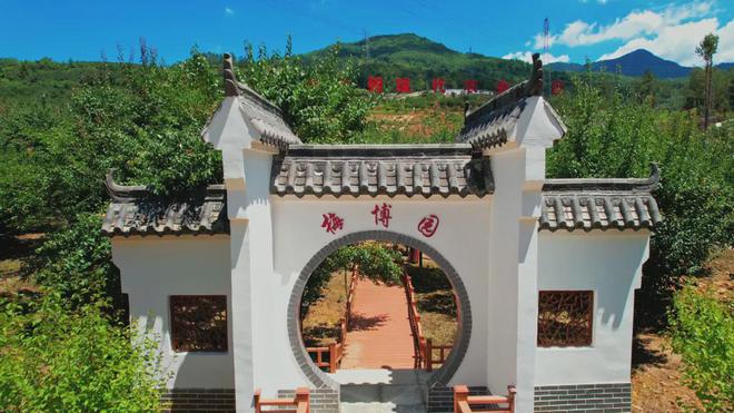 夏游绵阳·清凉暑日 ‖ “夏”一站去平武！遇见“梅”好时光品味夏日酸酸甜甜的味道(图3)