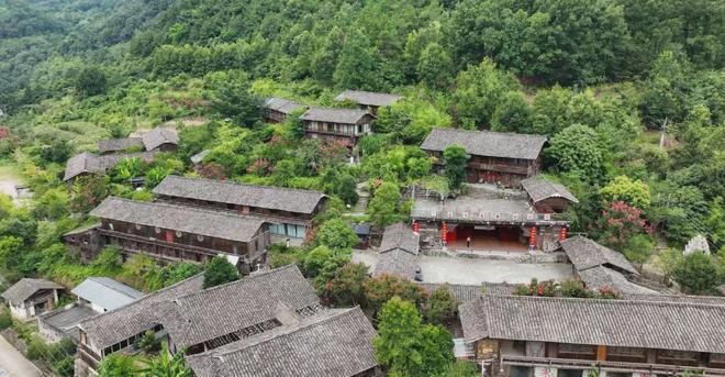 夏游绵阳·清凉暑日 ‖ “夏”一站去平武！遇见“梅”好时光品味夏日酸酸甜甜的味道(图19)