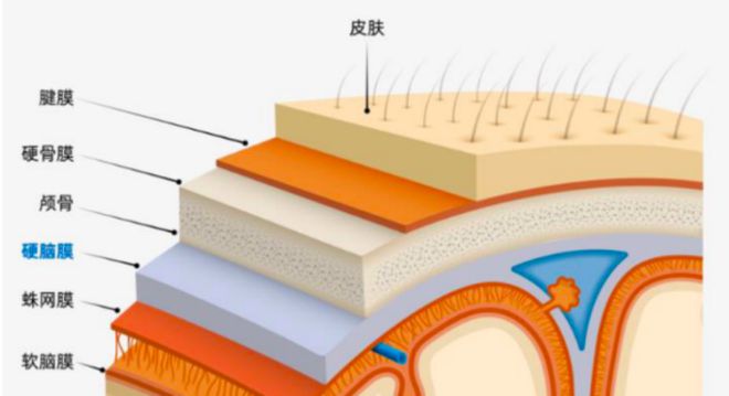 当国产“脑膜胶水”开始崛起(图1)